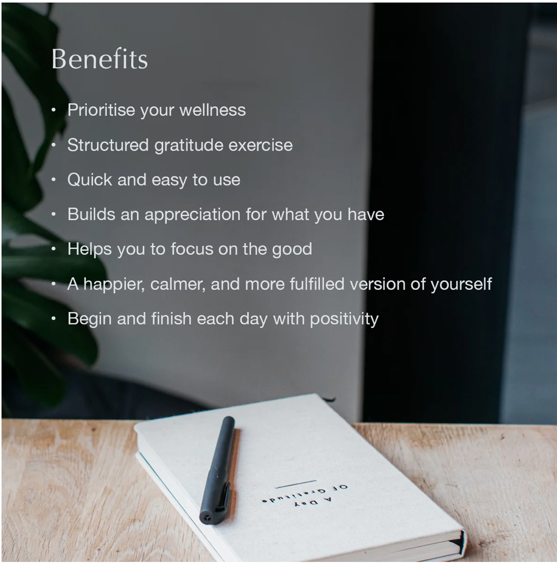 Day of Gratitude Journal - Cotton